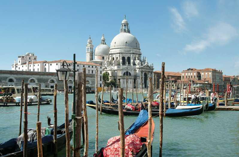 Desde Piran: Travesía en catamarán por Venecia de ida o ida y vuelta