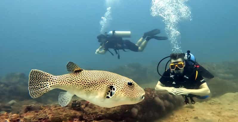 Trincomalee Buceo 2 unidades para buceadores certificados