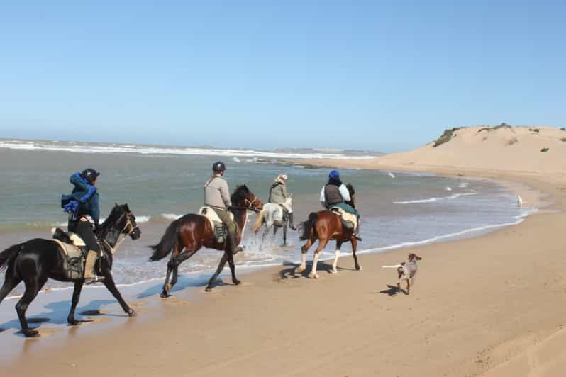 Desde Essaouira: Paseo a caballo de 1 hora