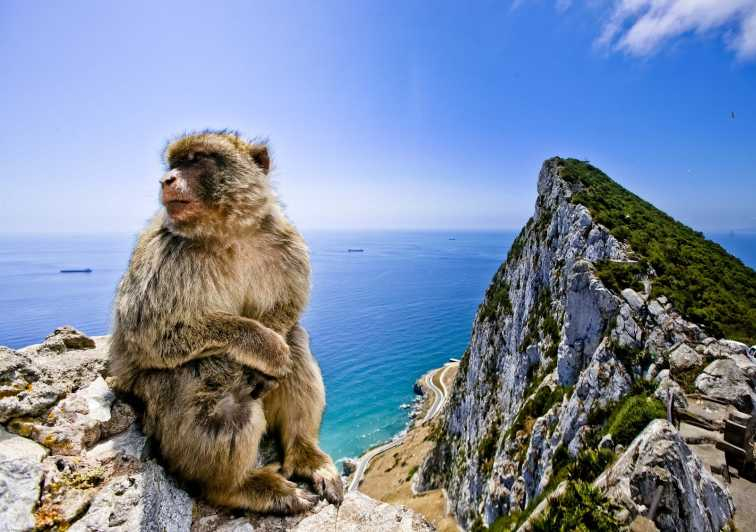Desde Cádiz: Excursión Privada de un Día a Gibraltar y Vejer