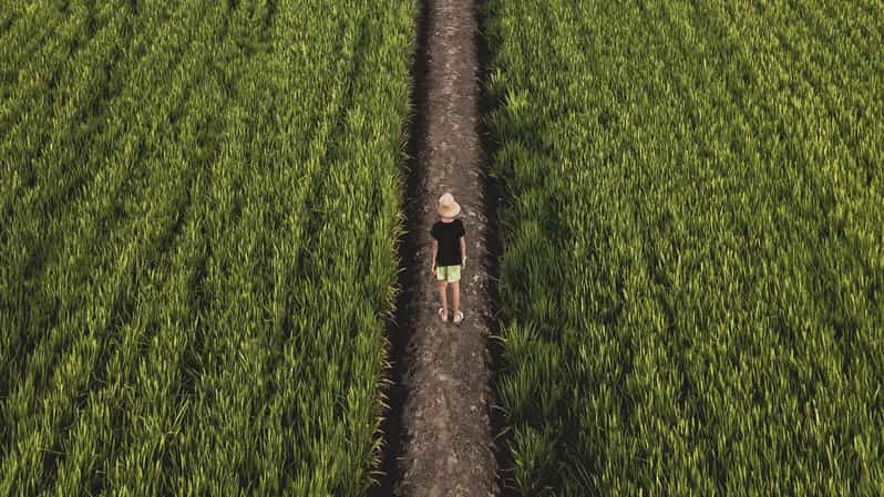 La belleza del Delta en Cataluña Sur