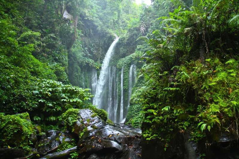 Lombok Norte: Cascada de Sendang Gile y Excursión al Pueblo de Senaru