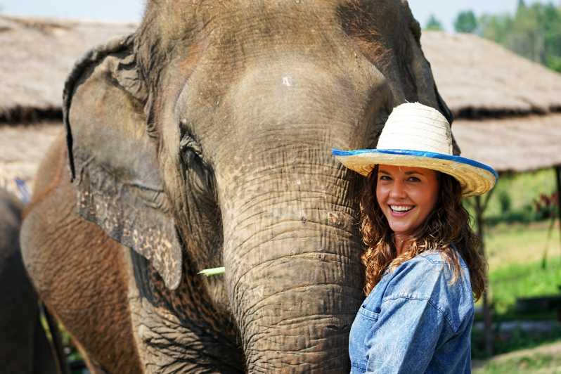 Chiang Mai: recorrido por el santuario ético de elefantes en grupos pequeños