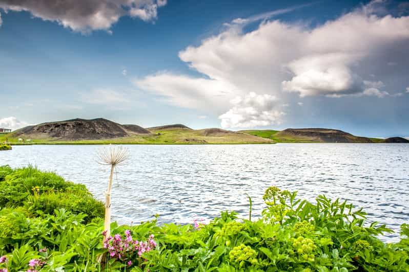 Desde Akureyri Tour guiado por el lago Mývatn con almuerzo