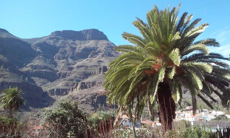 Las Palmas: Excursión de 8 horas por lo más destacado de la isla de Gran Canaria