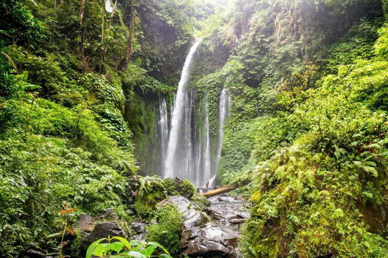 Tour de senderismo a las cascadas Tiu Kelep y Sendang Gile