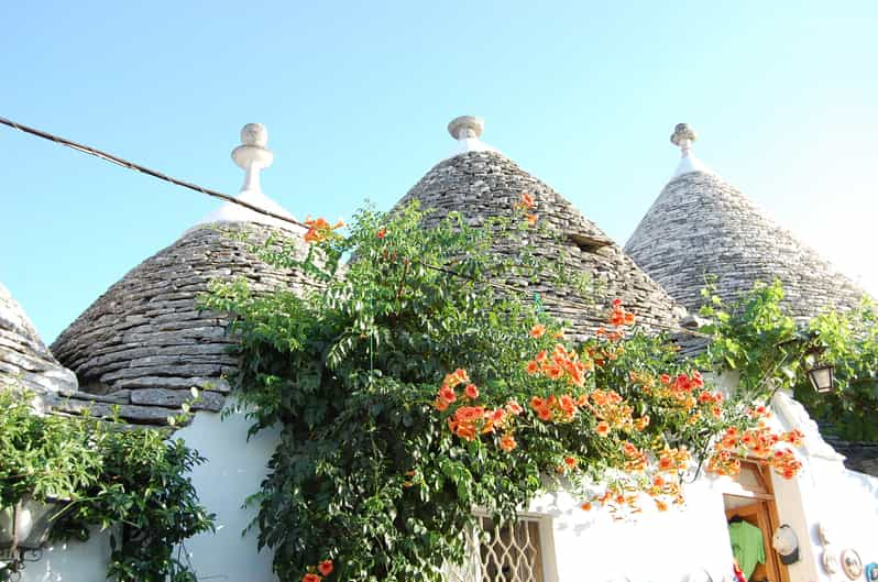 Alberobello: Visita histórica a pie con degustación de aceite de oliva