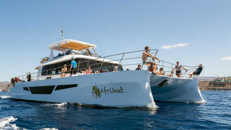 Gran Canaria: Divertido Crucero en Catamarán con Comida y Bebida