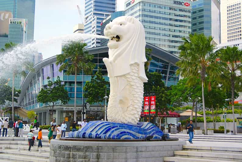 Singapur: tour de medio día con traslado al hotel