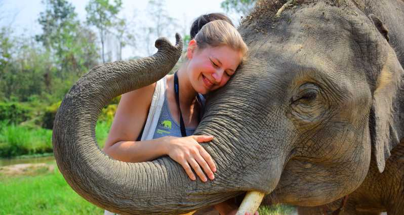 Desde Chiang Mai: Programa de Cuidado de Elefantes y Visita a la Guardería