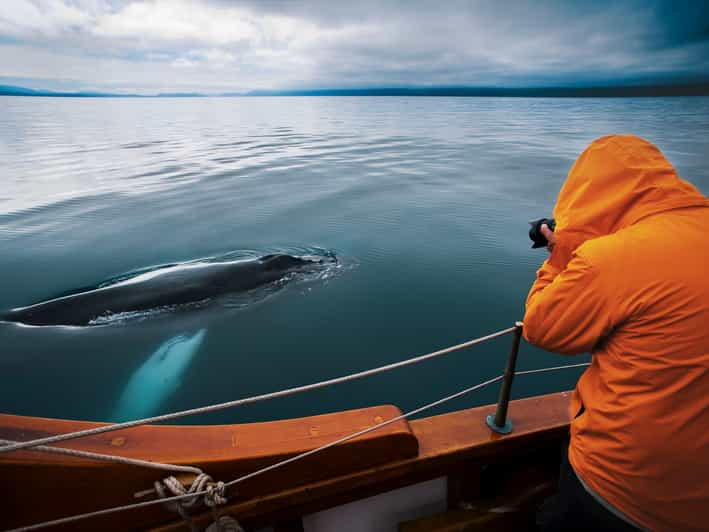 Húsavík: Avistamiento de ballenas en un barco de roble con emisiones neutras de carbono