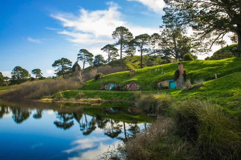 Desde Auckland: Excursión de un día a Hobbiton y las cuevas de Waitomo con almuerzo