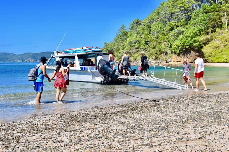 Bahía de las Islas: Excursión de 4,5 horas en Crucero de un Día y Escapada a las Islas