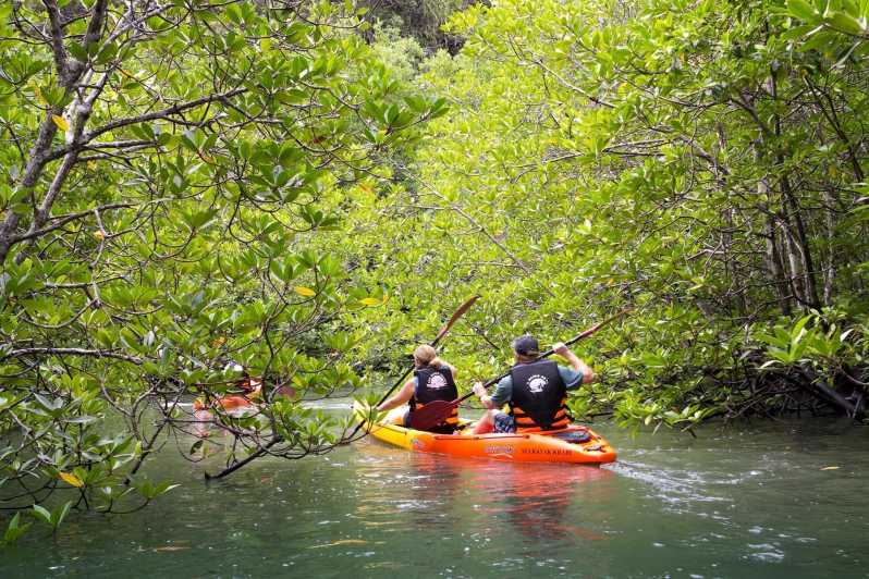 Kayak de Mar en Ao Thalane y Día Completo Opcional en la Isla de Hong