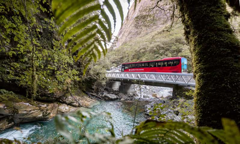 Desde Te Anau: 1 día de autocar y crucero por Milford Sound