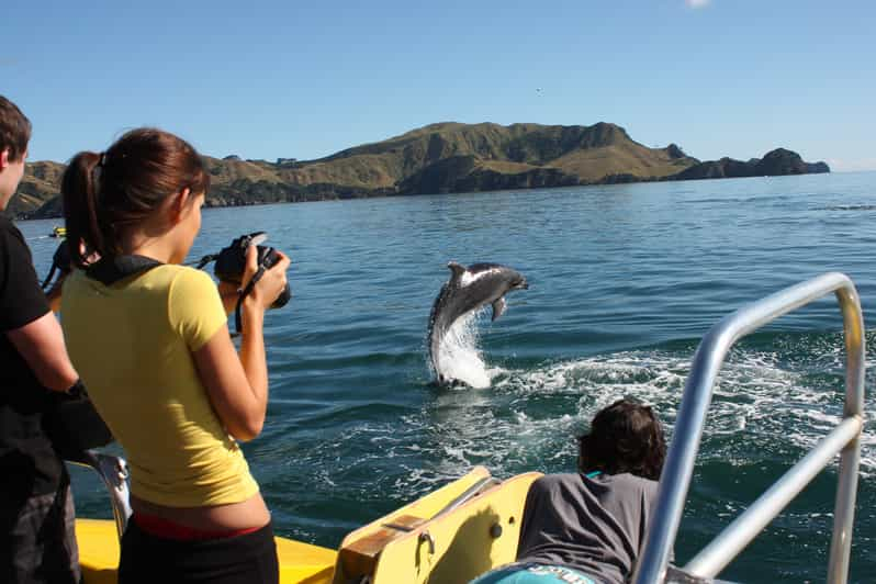 Bahía de las Islas: Crucero Descubrimiento de la Bahía con escala en una isla