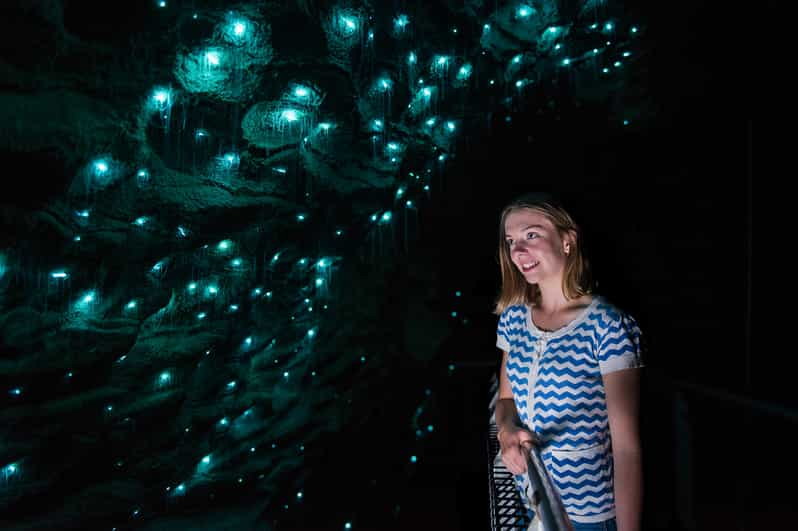 Waitomo: Cueva de Ruakuri Visita guiada de 1,5 horas