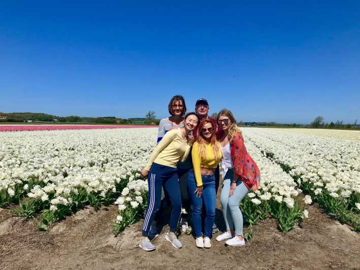 Alkmaar: Excursión en bici por los campos de tulipanes y flores de primavera