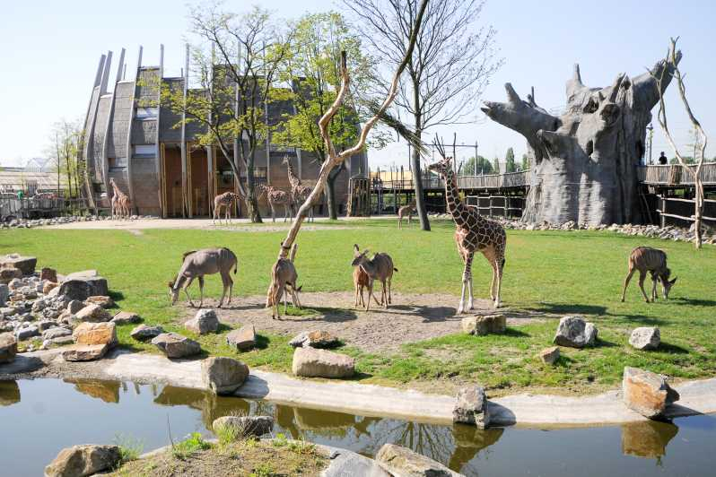 Rotterdam Entrada al Zoo Blijdorp de Rotterdam