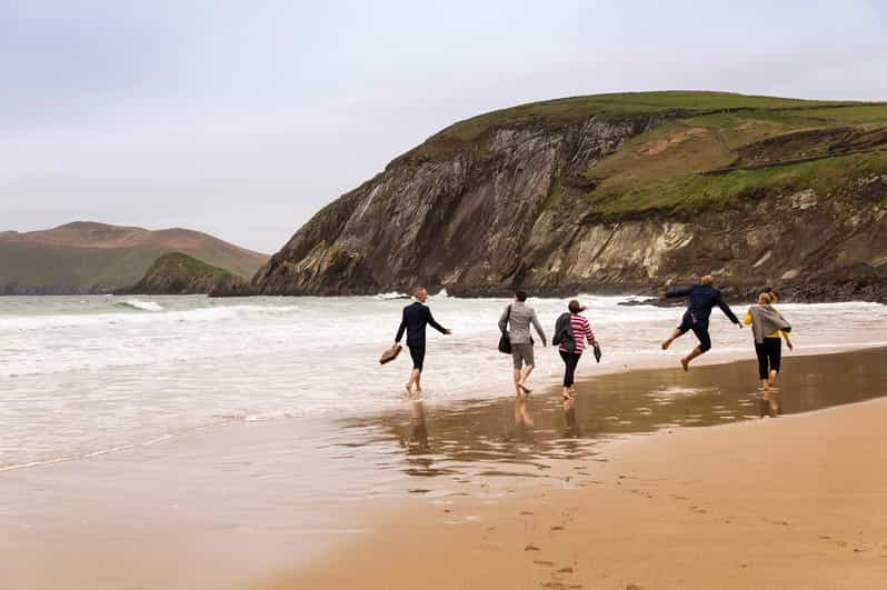 Excursión de un día a Dingle desde Limerick