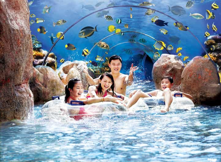 Entrada a Adventure Cove Waterpark™ con recogida en el hotel