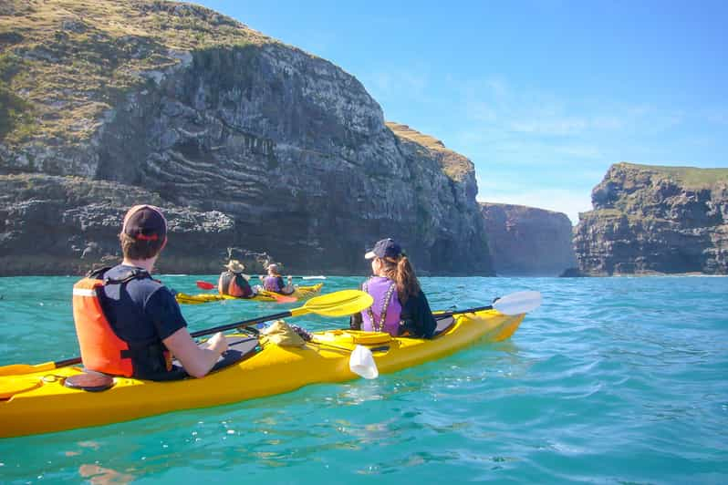 Akaroa: Safari en 4x4 y experiencia guiada en kayak de mar