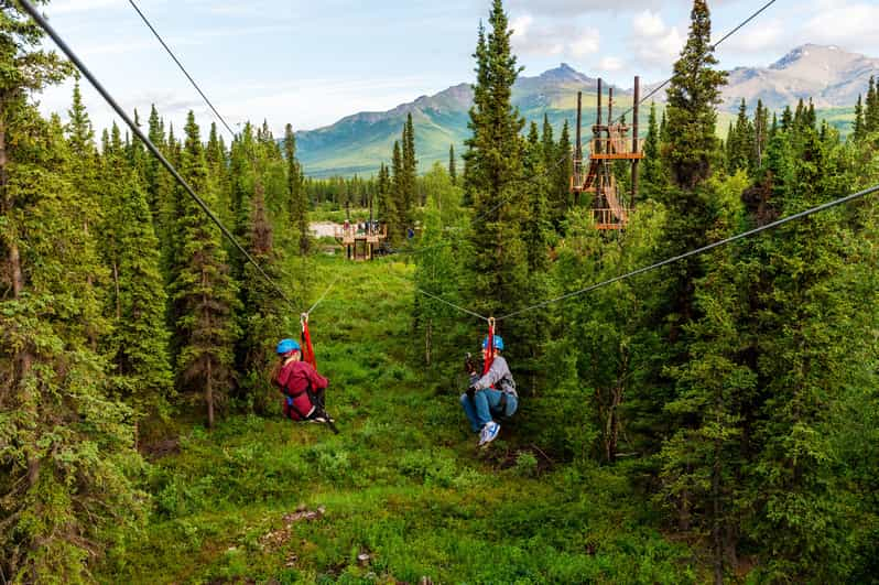 Aventura en tirolina en el Parque Denali