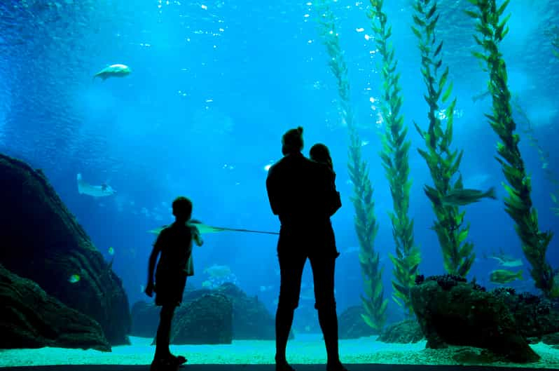 Lisboa: Visita de 48 horas en autobús con paradas libres y entrada al Oceanario