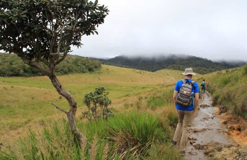 Nuawara Eliya: Llanuras de Horton y Té Excursión con todo incluido