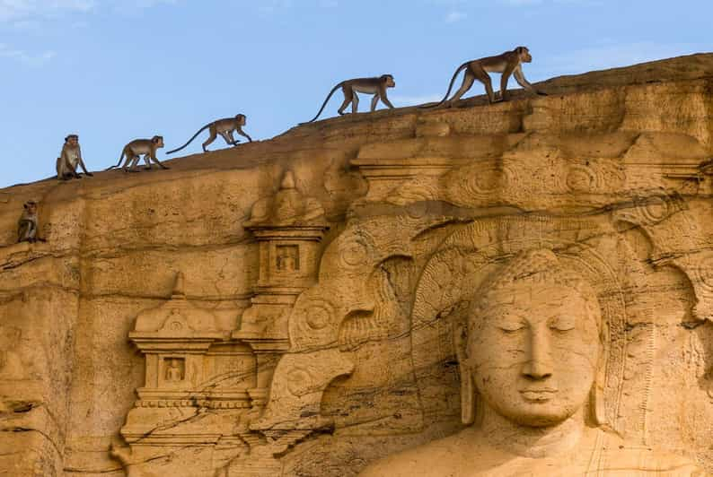 Dambulla: Polonnaruwa y Sigiriya Todo Incluido