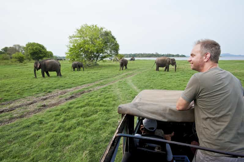 Safari vespertino con todo incluido por el Parque Nacional de Minneriya