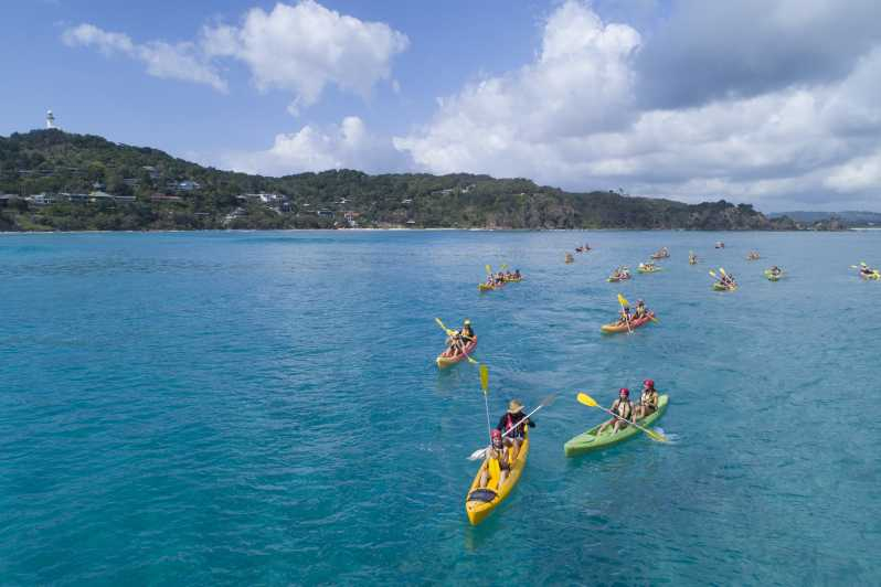 Byron Bay: tour en kayak con delfines