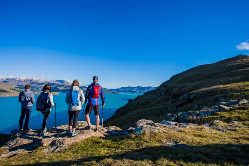 Christchurch: Paseo guiado por el borde del cráter con picnic