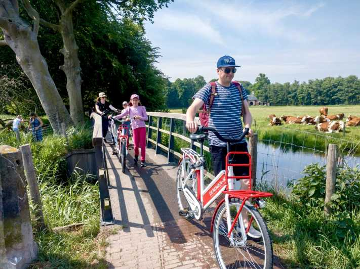 Lo más destacado de Haarlem en bici