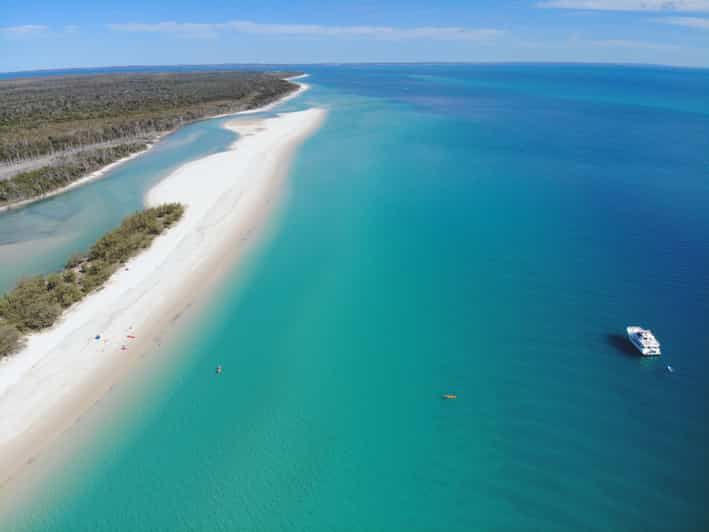 Desde Hervey Bay Crucero de 1/2 día por la playa de la isla K'gari Fraser