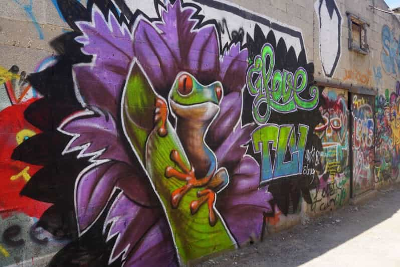 Tel Aviv: Tour de Arte Callejero y Graffiti