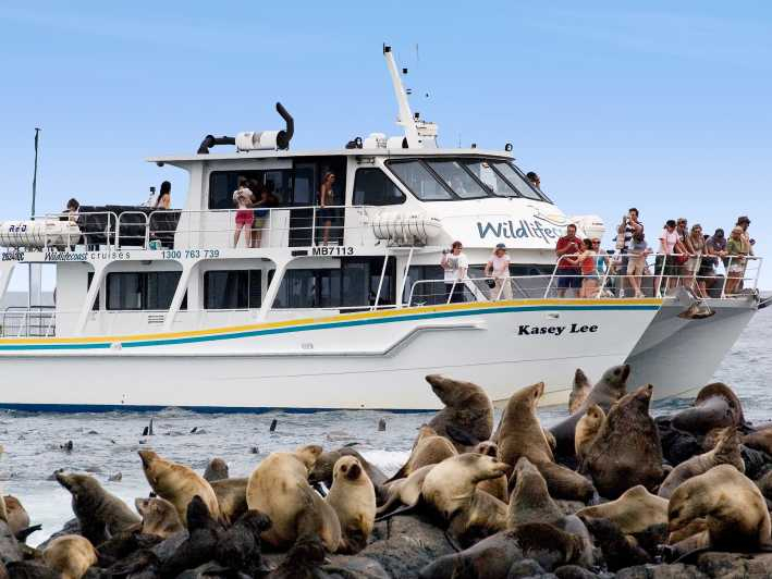 Isla Philip: Crucero de observación de focas