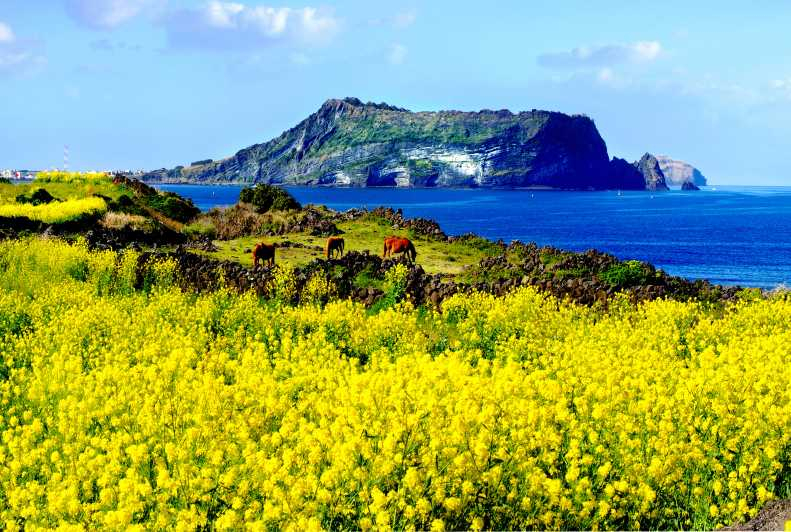 Isla de Jeju: Tour privado personalizado en furgoneta de día completo