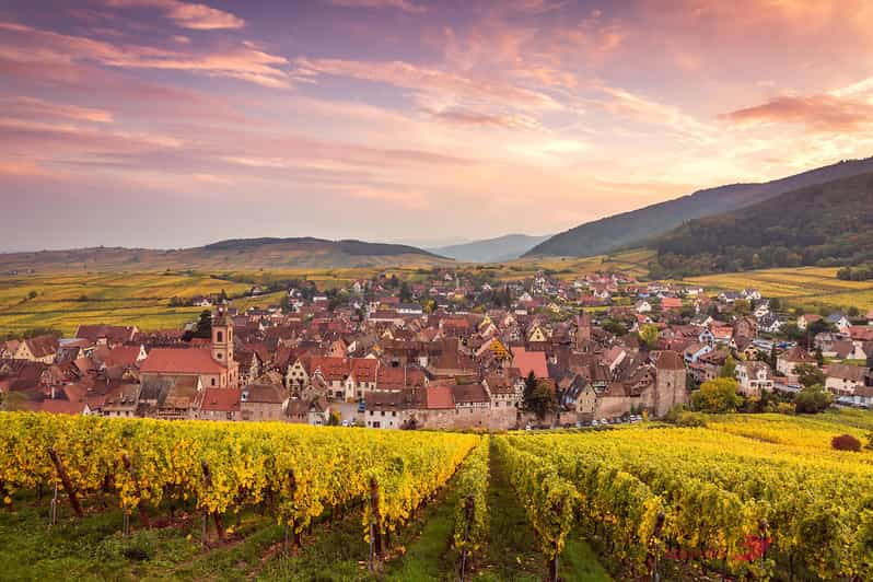 Excursión de un día a las 4 Maravillas de Alsacia desde Colmar