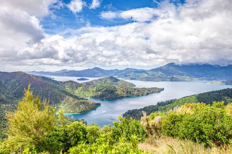 Crucero por Marlborough Sounds y Ship Cove desde Picton