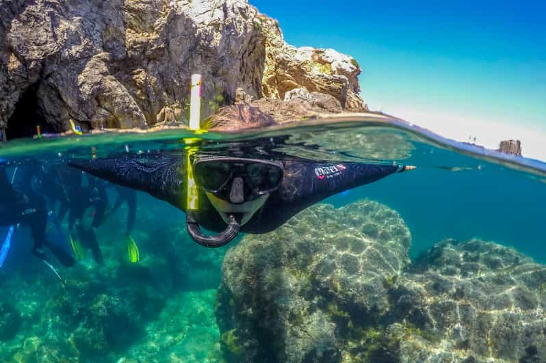 Desde L'Estartit Excursión de snorkel a las Islas Medes