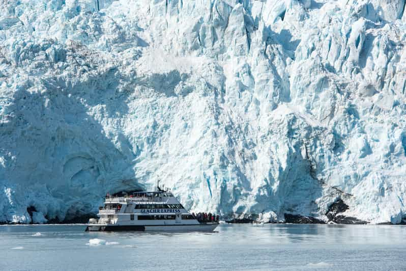 Desde Seward: crucero por el Parque Nacional de los Fiordos de Kenai con almuerzo