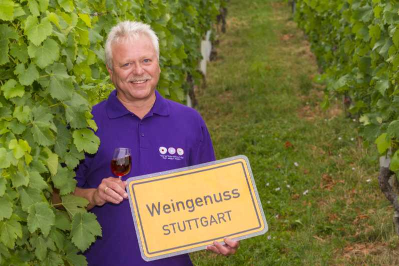Stuttgart: Paseo guiado y cata de vinos
