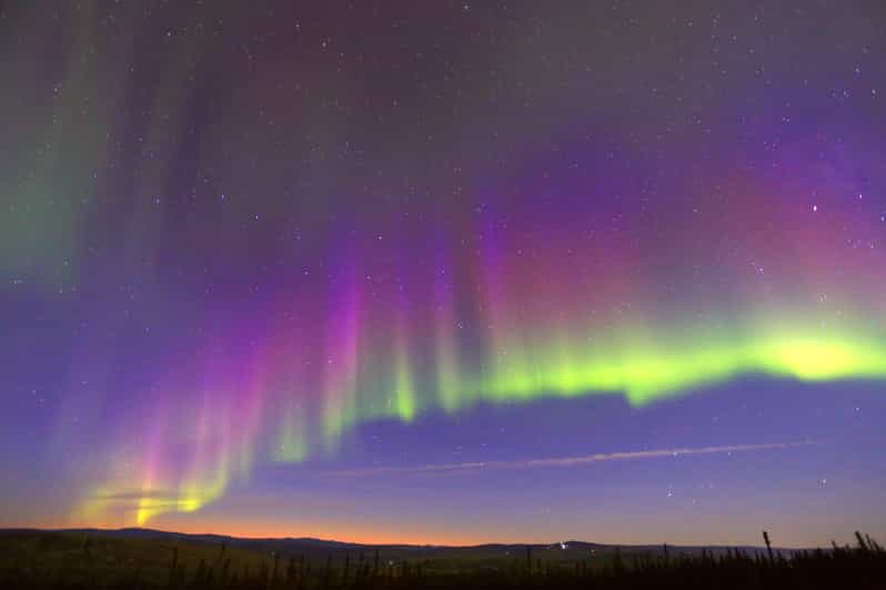 Fairbanks: Trineo tirado por perros a la luz de la luna, cena y aurora boreal