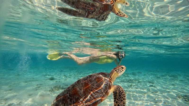 Gili Meno: Excursiones privadas de buceo con GoPro