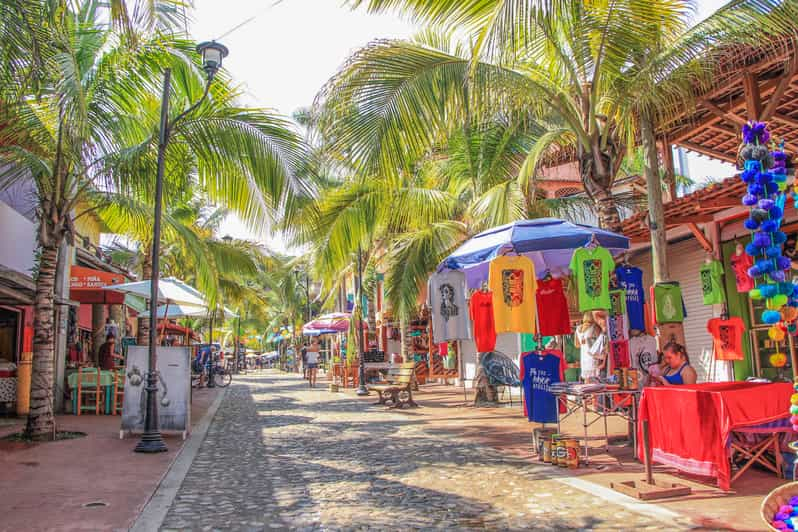 Excursión de un día a Sayulita y San Pancho