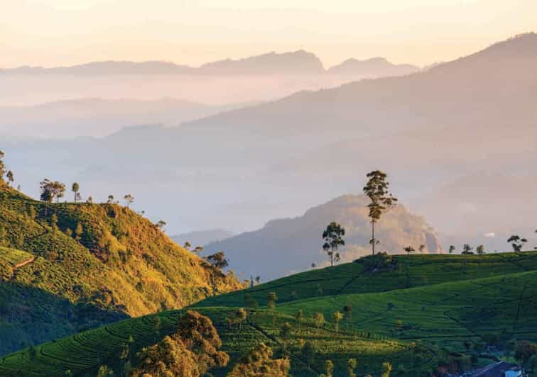 Desde Nuwara Eliya Excursión Privada de un Día a las Tierras Altas de Haputale