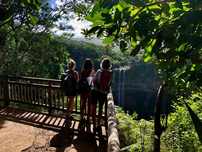 Desde Chamarel: Aventura Ecológica en Cascada