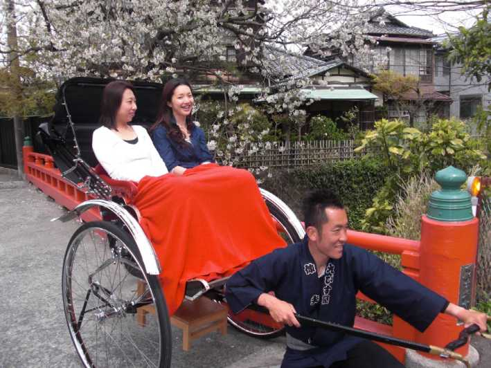 Kamakura: Recorrido Privado por la Historia y el Patrimonio en Rickshaw