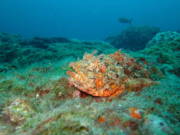 Corón: lago Barracuda, Skeleton Wreck y tour en barco por las lagunas Gemelas